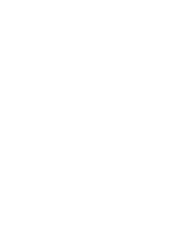 ר.ח.ש ביטחון